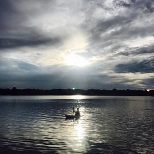 Meet your Posher, Yun